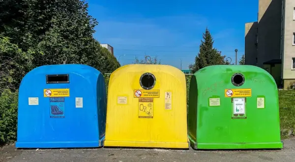 Gdzie wyrzucić chodnik? Dywan czy gruz uniknij mandatu!